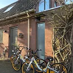Neptunus Voor Het Hele Gezin Eventueel Met Baby