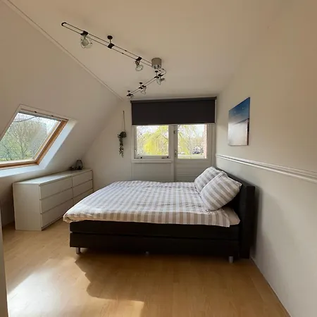 Neptunus Voor Het Hele Gezin Eventueel Met Baby