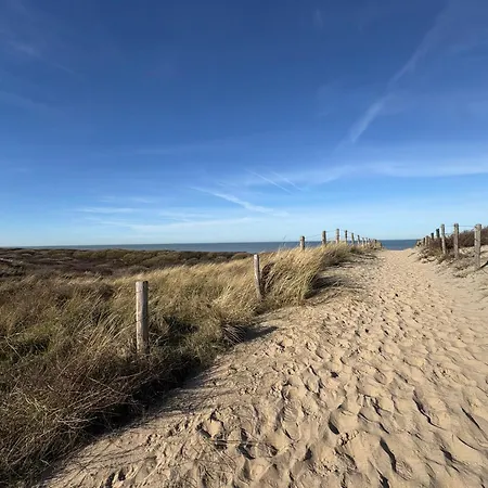 Neptunus Voor Het Hele Gezin Eventueel Met Baby