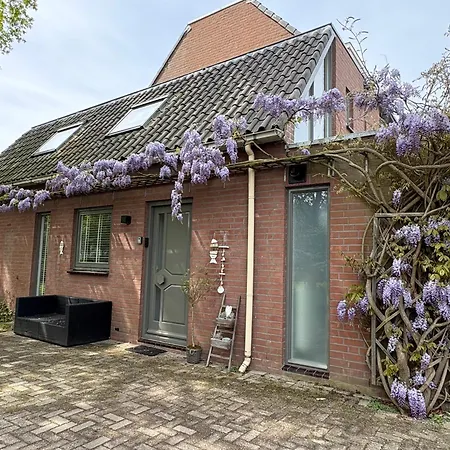 Hébergement de vacances Neptunus Voor Het Hele Gezin