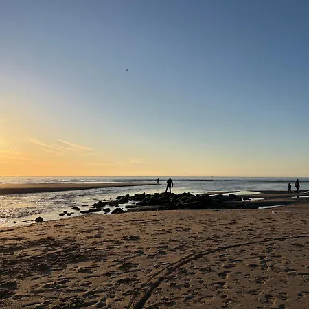 Neptunus Voor Het Hele Gezin Eventueel Met Baby Katwijk aan Zee