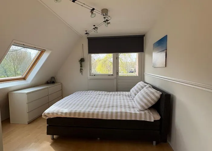 Neptunus Voor Het Hele Gezin Eventueel Met Baby