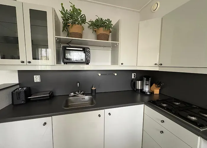 Neptunus Voor Het Hele Gezin Eventueel Met Baby 別荘