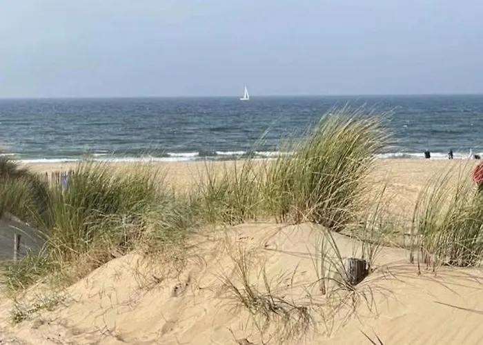 Neptunus Voor Het Hele Gezin Eventueel Met Baby Katwijk aan Zee
