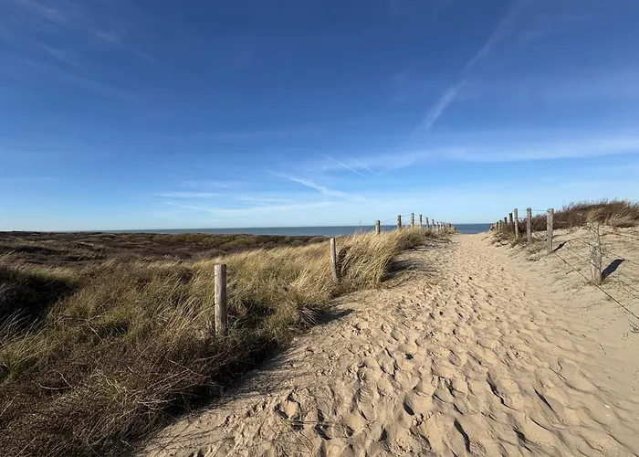 Neptunus Voor Het Hele Gezin Eventueel Met Baby