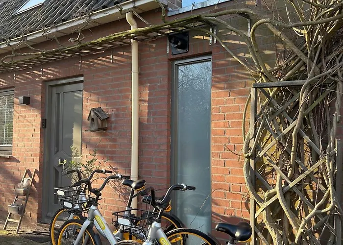 Neptunus Voor Het Hele Gezin Eventueel Met Baby